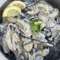 [통영 산지직송] 통영 최상급 생굴 1kg/2kg (중대), 통영생굴_1kg(중대)