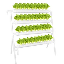 수직농장 가정용 수경재배기 만들기 물심기 양배추