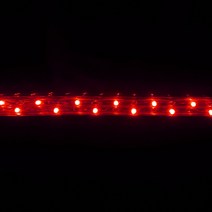 탄탄 LED 사각 논네온 줄조명 로프라이트 (2M 10M 50M 단위판매), 적색