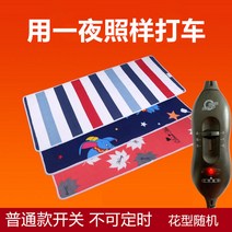비가토 자동차용 전기담요 당일 더블 12볼트 24볼트 전기 매트리스 구매전 판매자 비가토 확인요망합니다. 영어로된 판매자 중국업체입니다., 24V-Normal 길이 200cm x 폭 80cm