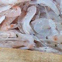 김장용 생새우 동백하 1kg, 1개