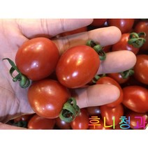 후니청과 신선한[특품] GAP 인증 대추방울 토마토1kg 2kg [국내산], 1box, 1kg(1,2등)