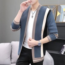 FANSYLI 남자 카디건 스웨터 봄 얇은 루즈핏 니트 코트 2A2