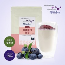 블루베리 동결건조 분말 40g 친환경 무농약인증 국내산 100%