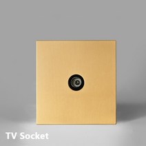 융스위치 iot스위치 IOT스위치 융콘센트 Avoir 토글 스위치 Usb 벽 전기 콘센트 골드 스테인레스 스틸 패널, 05 TV