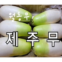 무 제주 월동무 10kg 6~8개 야채맘