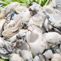 통영 멍게소라 멍게비빔밥 모듬건해초, 1개, 통영 생굴1kg