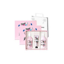 로맨틱 홀리데이 바디세트 2개, 로맨틱 홀리데이 바디세트 1+1/5