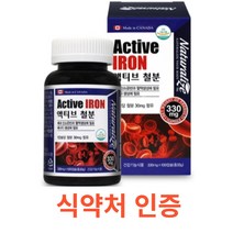 네추럴라이즈 액티브 철분 100캡슐 100일분 식약처 식약청 인정 인증 해썹 haccp 혈액생성 에너지생성 철보충섭취 성장기 청소년 여성 임산부 수유부 캐나다 영양제 건강기능식품, 100캡슐X1개