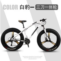 팻바이크 입문용 오프로드 MTB 자전거 20 24 26인치, 27단, 24인치, 화이트(3 나이프 휠)