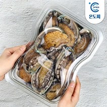 [온도씨]완도 활전복 25-30마리 1kg (소) 실속포장, 1개