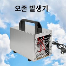 오존 발생기 스테인레스 스틸 220v 60g/48g/36g/32g/28g/24g/15g/10g/5g 공기 청정기 가정용 청소기, 10g, 06 10g, 1개
