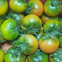 짭짤이토마토 특품대저토마토 못난이 대저토마토 2.5kg 5kg, 특품 대저토마토 L 2.5kg