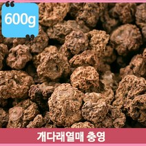 울퉁불퉁 영양덩어리 개다래열매 건조개다래 600g 약초 건강차 충영 수입산