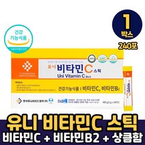 비타민C 분말 스틱 비타시 비타씨 식약처인증 임산부 수유부 건강기능식품 가루 먹는법, 1박스, 유니비타민C스틱 x 240포