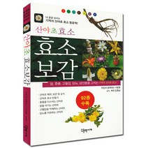 반디BOOKS 기적의 허브와 산야초 효소보감