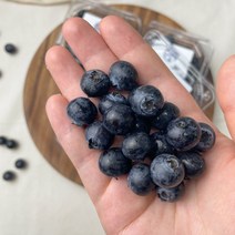 [무른건 절대 No!] 블루베리 생과 생블루베리 칠레산 미국산 국내산 국산 수입 (산지변동있음), 생블루베리 500g