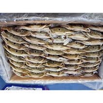 산호수산 냉동 라운드 삼점게 암게(60/80g) 3kg / 6kg [1시주문건익일도착], 1개