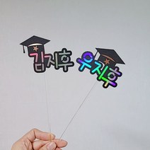 [설렘파티] 학사모 졸업 네임토퍼 이름 메세지 픽 졸업식 입학식 꽃다발 용품, 플라스틱막대, 3글자(영문5글자)
