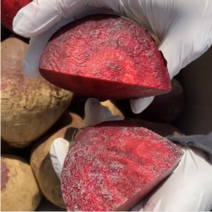 단단 제철 고당도 제주 레드비트 3kg~10kg red beet, 레드비트 3kg