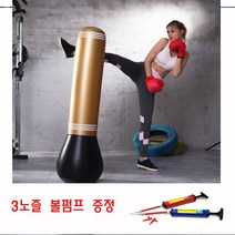 J-스포츠 홈트레이닝 코어운동 전신운동 밸런스보드 샌드백 짐볼 AB슬라이드 헬스 요가 필라테스 홈트 운동기구, 6. 다이어트히트백-골드