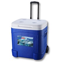 아이스박스 캠핑 레져 낚시 18L 38L 55L 대형 쿨러 손잡이 바퀴 달린, 55L(블루)