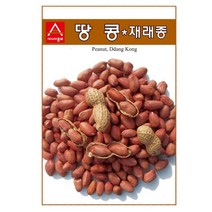 A-땅콩 재래종 30g