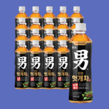 힘찬하루 헛개차 사무실 탕비실 500ml 20입, 광동 힘찬하루 헛개차 500ml 20입
