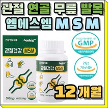 등산 싸이클 테니스 무릎 관절 건강 엠에스엠 MSM 운동 연골 도움 조인트 손목 팔목 발목 손마디 어깨 관리 케어 중년 남성 여성 남자 여자 50대 60대 70대 80대 추천 선물