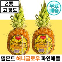 [ 빠른배송 ] 델몬트 허니글로우 파인애플 1.6kg 낱개 2통 프리미엄 고 당도 높은 달달 맛있는 생 과일 간식 도시락 추천 후기 인증 상태 좋은 파인 에플 댈몬트 선물, 1박스, 낱개 2통(통당1.6kg)