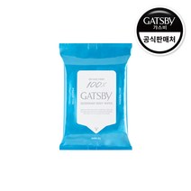 갸스비 파우더 데오도란트 바디 페이퍼 쿨시트러스 10매, 단품