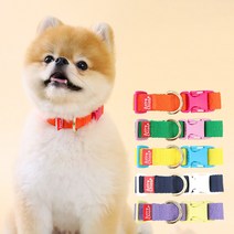 아스터슈 컴피카라 국산 자체제작 강아지 목줄 산책용 교육용, 옐로우+블루, L