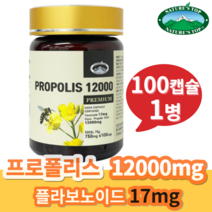 [국내배송] 사은품+네이쳐스탑 유칼립투스 고함량 프로폴리스 12000mg 100캡슐, 100캡슐 1개