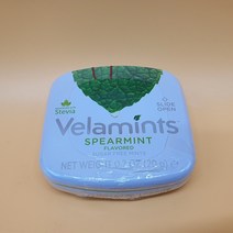 벨라민츠 후레쉬 스피어민트 20g x (1개입) 코스트코, 1개