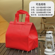 케이크 보냉백 로고제작 50개 아이스백 배달 포장 은박 미니 아이스박스, F 레드 특대 30x30x20cm