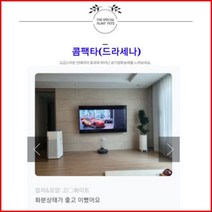 없음 [반값화분] MAIN-대형콤팩타130(드라세나) 직접배송 축하화분 개업화분 거실화분 카페화분 인테리어화분 아레카야자 극락조 알로카시아 파키라 고무나무, 낮은원통