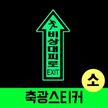 화살표 바닥용 비상 반사 스티커 안전용품 야광 표시 축광 시트 위치알림 소, B타입녹적