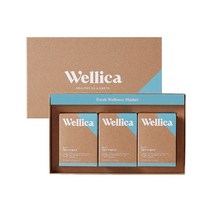 웰리카 저분자 피쉬콜라겐 300달톤 어린콜라겐 펩타이드 선물세트(90포)+쇼핑백, 선물세트 (90포)