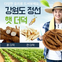 엄마표밥상 더덕 깐더덕 더덕구이 맛있는 건강 반찬 강원도 정선 산 국산 손질 햇 야생 선물 세트 1kg, 1개, 손으로 깐더덕 250g/1팩