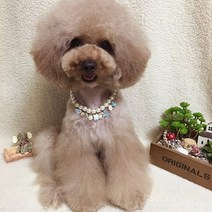 강아지 진주 목걸이 악세서리 넥카라 케이프 머플러 소형 중형 대형견, 핑크, L