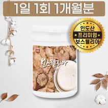 보스웰리아 덩어리 원물 유황 추출 분말 가루 차 성분 고형차 보수웰리아 인도 인도산 후기 크림 검레진 인도 INDIA BOSWELLIA POWDER BOSWELLIC ACID