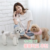 리토가토 러비 커스텀 캐릭터 강아지 하네스 + 리드줄 세트 5종 (컴퓨터 자수) 동물학교 추천, 핑크