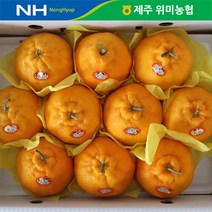 제주 위미농협 한라봉 1.8kg(4-6과), 단품