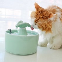 유해물질 없는 도자기 세라믹 펫 반려동물 아낀다면 물그릇 정수기 강아지 고양이, 세라믹물고기장난감