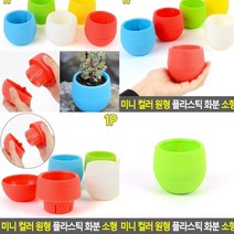 플라스틱화분 그린 베란다정원 홈가드닝 텃밭상자 플라스틱화분 블루베리화분 대형플라스틱화분 빈화분 텃밭화분 분갈이화분 사무실화분 베란다상추키우기 실내정원 작은화분 프리지아화분 독일토분 상자텃밭 분재화분 베란다텃밭 후리지아화분 나무화분 이쁜화분 미니토분 집에서상추키우기 빈티
