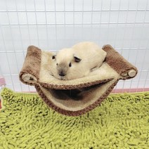 햄스터 따뜻한 해먹 부드럽고 편안한 더블 레이어 매달린 둥지 애완 동물 용품 글라이더 다람쥐 친칠라, 01 coffee L