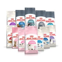 로얄캐닌 캣 베스트 고양이사료 모음 베이비 키튼 인도어 중성화 다이어트 유리너리 센서블 오랄케어, 오랄케어 1.5kg