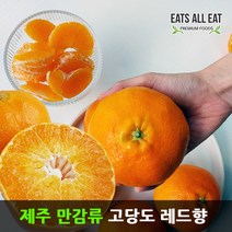 이츠올릿 제주 감귤 레드향 3kg (선물용 중대11-17과) 제주도 하우스 귤 택배 선물 세트