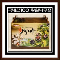천기누설 약초 황칠나무즙 1박스(100ml x 60p)