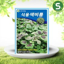 솔림텃밭몰 식용색비름씨앗 2g 식용색비름 채소씨앗 쌈 샐러드용, 단품